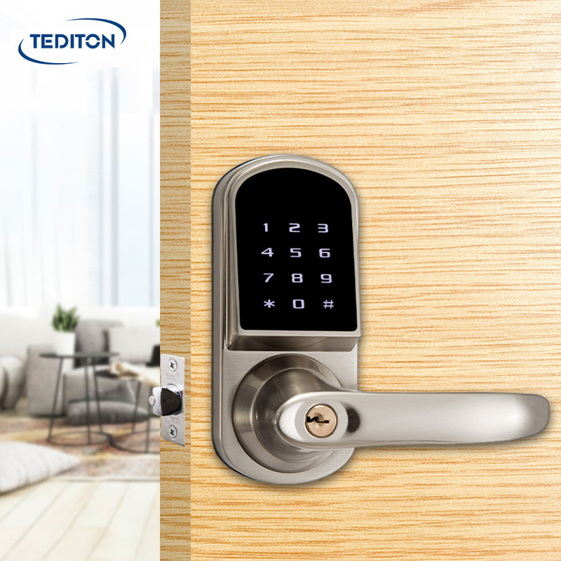 Tediton Waterproof Wifi Keypad App Smart Door Lock  APP Lock for Home Airbnb Apartment Project