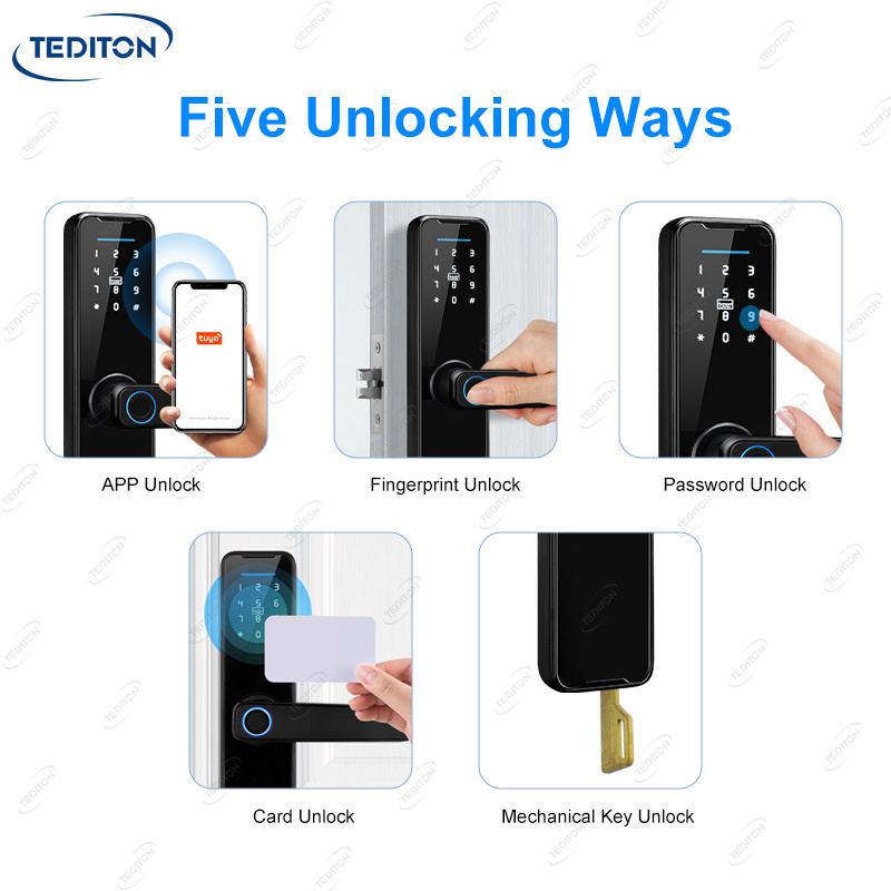 Tediton Hot Selling Water Proof Biometric Fingerprint Password Smart Door Lock with Tuya App