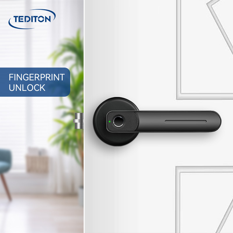 Tediton Simplified Lever Keyless Magnetic Fingerprint Door Handle Lock with Key