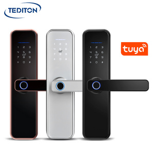 Waterproof Tuya WiFi App Smart Door Lock Biometric lock fingerprint door handle Digital Keyless lock