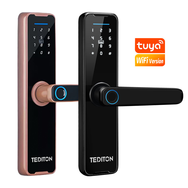 Tediton Hot Selling Water Proof Biometric Fingerprint Password Smart Door Lock with Tuya App