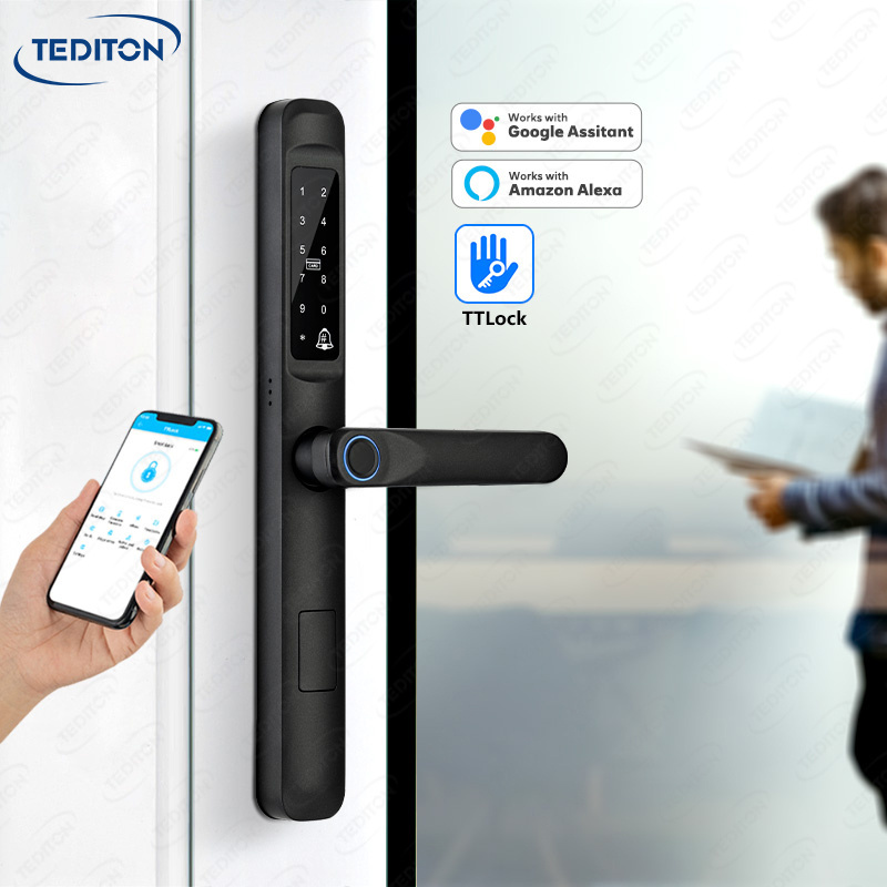 Tediton Ttlock New Arrival Smart Door Lock Smartkey Electronic Door Handle Waterproof Outdoor Door Lock