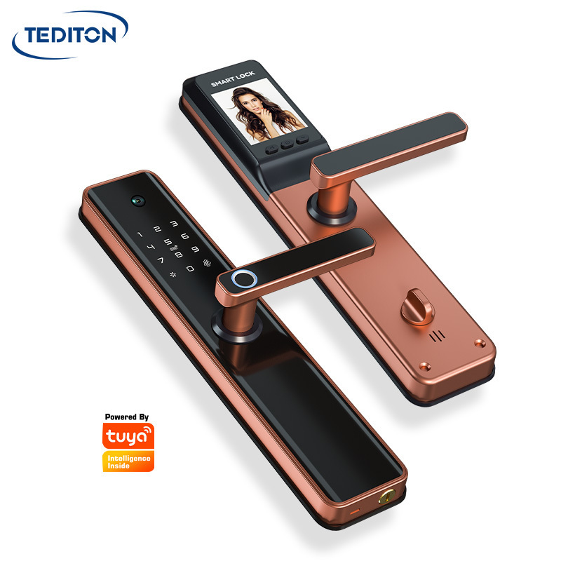 Tediton Security Tuya Wifi APP video Camera intercom chapas inteligentes Electronic Biometric Smart Door Fingerprint Lock