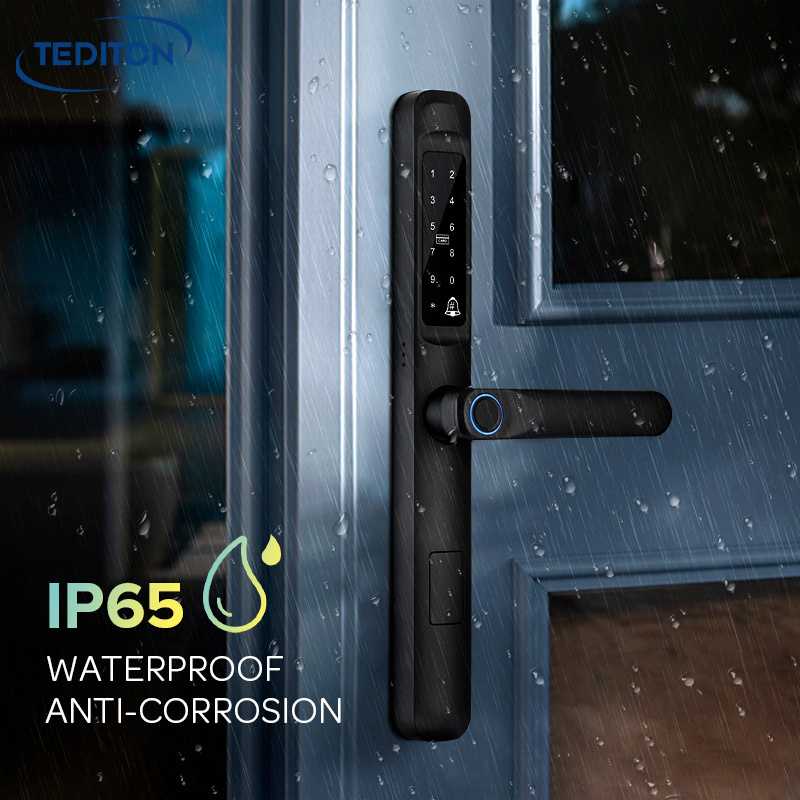 Tediton Ttlock New Arrival Smart Door Lock Smartkey Electronic Door Handle Waterproof Outdoor Door Lock