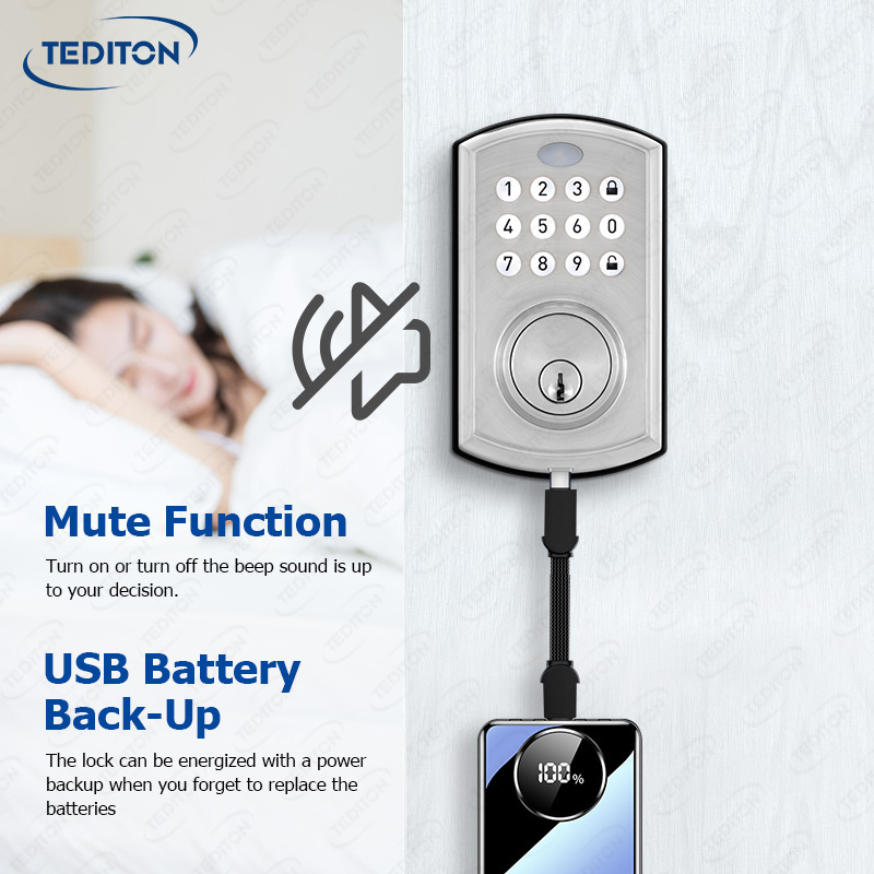 Tediton Smart Door Lock Silver Smart Deadbolt Fechadura Inteligente Tuya Auto Keypad Deadbolt Smart Lock