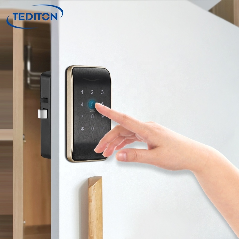 Tediton Furniture  Electronic Cabinet Lock Magnetics Combination Password Drawer RFID Lockers Locks