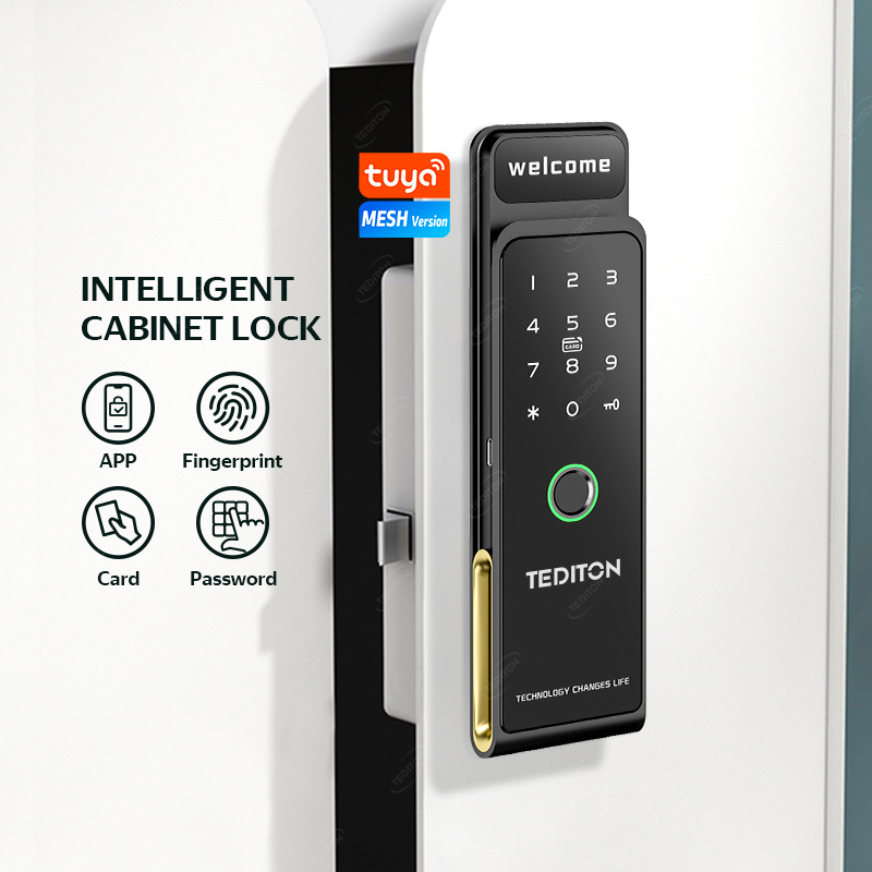 China Wholesale Tuya Code Biometric Smart Electronic Cabinet Lock With Wireless Electric Smart Cabinet Rfid Lock