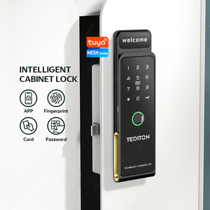 China Wholesale Tuya Code Biometric Smart Electronic Cabinet Lock With Wireless Electric Smart Cabinet Rfid Lock