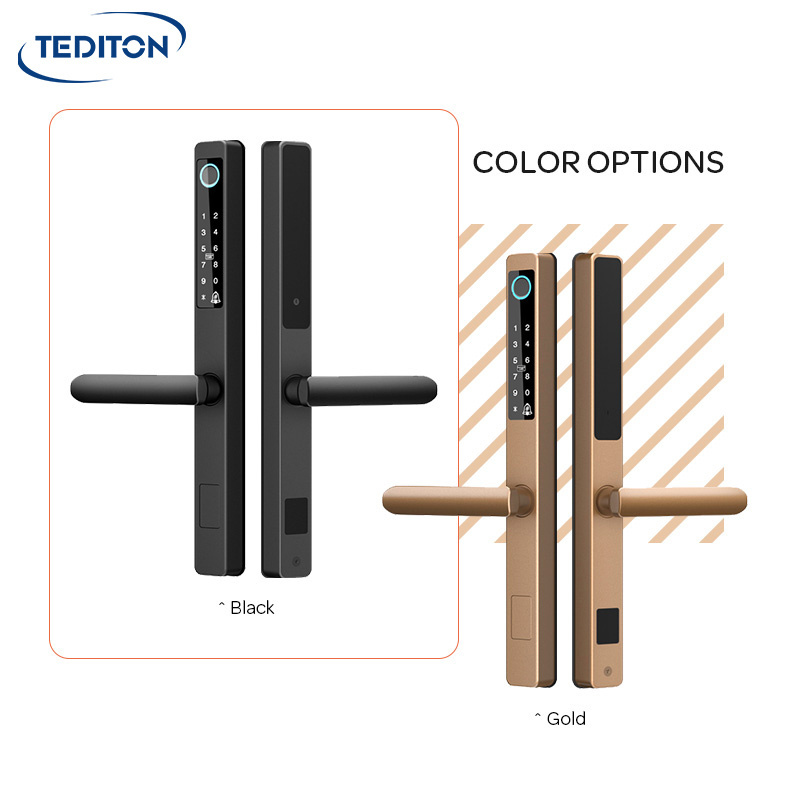 Tediton  Waterproof Zinc Alloy TTLock APP Smart Fingerprint Password Sliding Door Lock