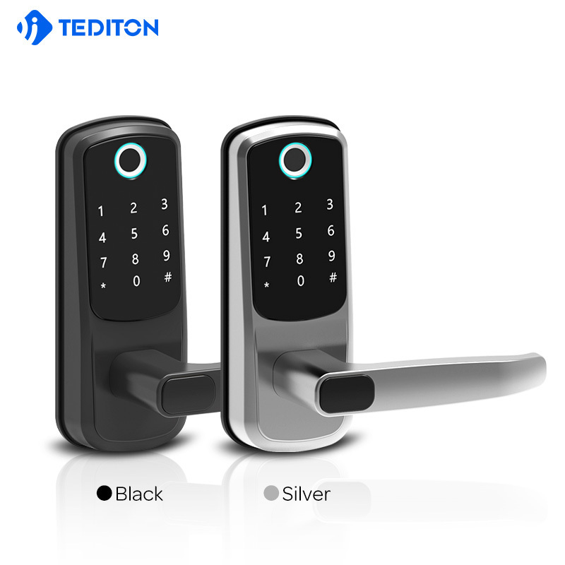 Anti theft Ttlock APP Automatic Electronic Biometric Fingerprint Digital Door Lock for Alexa Google home