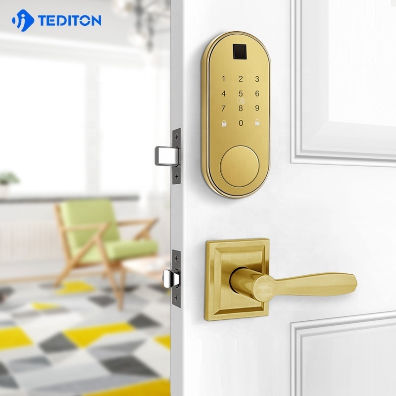 Automatic Keyless WiFi BLE APP Electronic Digital Classic Smart Lock with Touch-Screen Keypad Deadbolt