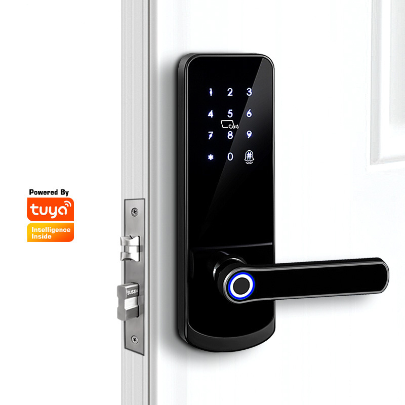 Safe Keyless WiFi BLE APP Electronic Digital Magnetic Biometric Fingerprint Door Lock