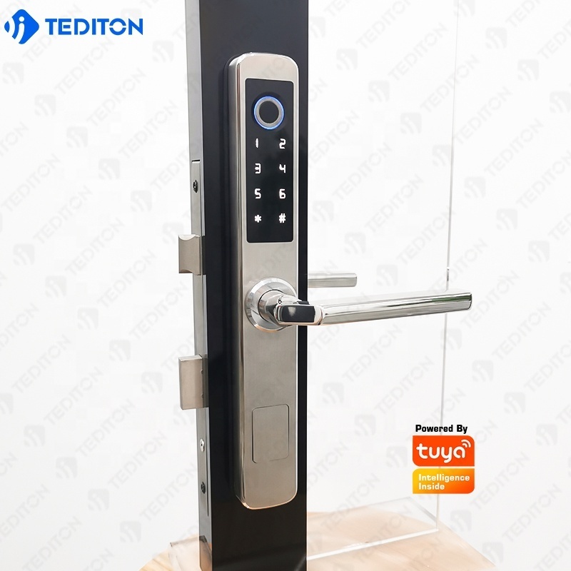 Stainless Steer Fingerprint Lock Double Fingerprint System Sliding Door Lock with Wifi Tuya APP Smart Lock Waterproof