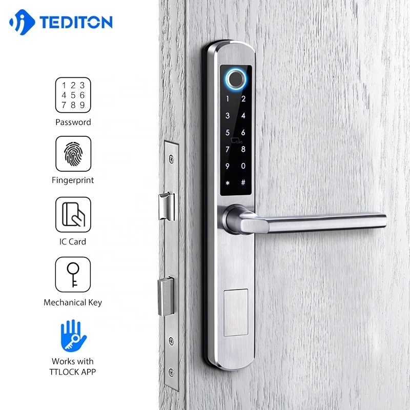 Tediton stainless steel Security Waterproof sliding APP Wifi ttlock dual sides fingerprint intelligent door lock