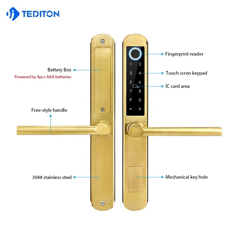 Tediton Waterproof Aluminum Door Lock TTlock APP  Sliding Fingerprint Smart Lock Door