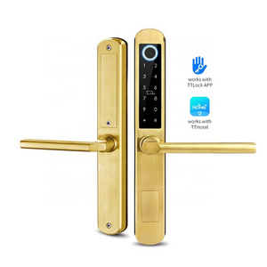 Tediton Waterproof Aluminum Door Lock TTlock APP  Sliding Fingerprint Smart Lock Door