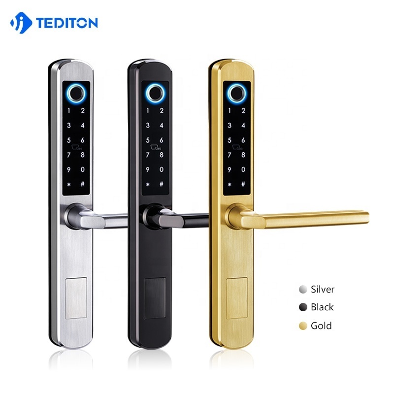 Tediton Waterproof Aluminum Door Lock TTlock APP  Sliding Fingerprint Smart Lock Door