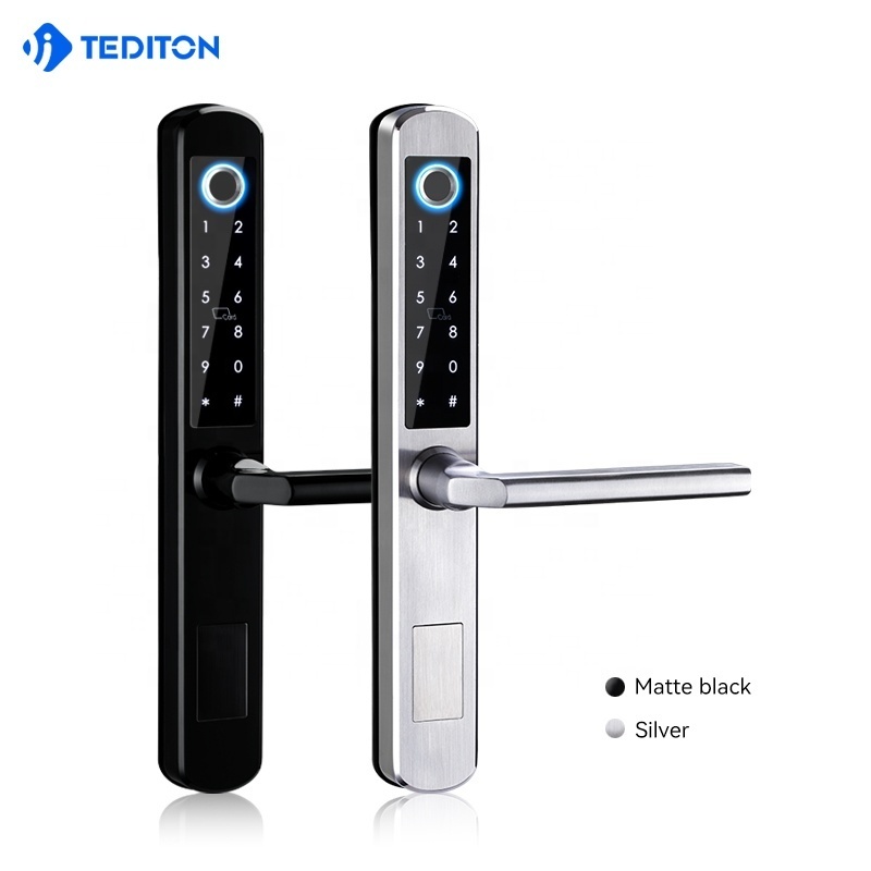 Tediton Waterproof Stainless Steel fingerprint door lock Sliding Glass Gate Digital Aluminum Smart Door Lock