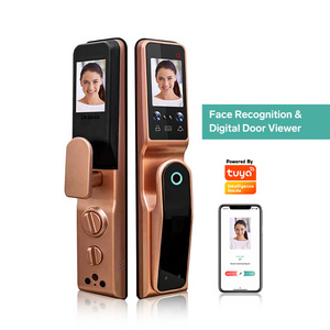 High technology Automatic locking Face Recognition Biometric Cats Eye Fingerprint Tuya APP Wifi Face Door Lock with Camera