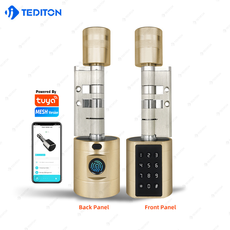 Tediton Newest Design Gold Smart Cylinder Lock Euro Cylinder Lock  TUYA APP Adjustable Brass Fingerprint Door Lock