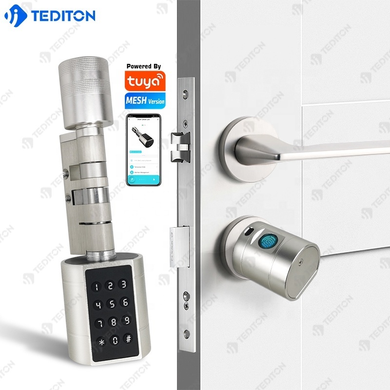 Tediton Newest Design Gold Smart Cylinder Lock Euro Cylinder Lock  TUYA APP Adjustable Brass Fingerprint Door Lock