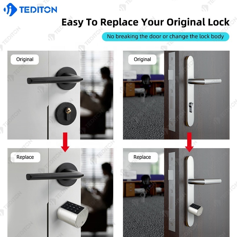 Tediton Newest Design Gold Smart Cylinder Lock Euro Cylinder Lock  TUYA APP Adjustable Brass Fingerprint Door Lock