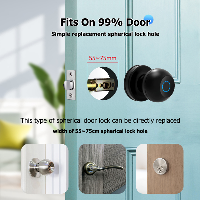 Tediton electronic bedroom interior door privicy locks digital tuya app fingerprint march smart door knobs