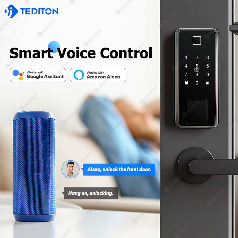 Tediton cerradura inteligente wifi ttlock 2024 waterproof wifi handle lock mortise door intelligent digital smart deadbolt