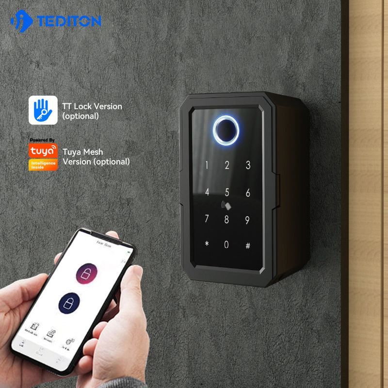 Tediton fingerprint password IC card security app wifi safe oem ttlock key smart lock box