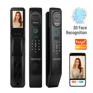 Tediton chapas inteligentes eletronic smart app push pull lock touch biometria exterior wifi fingerprint tuya fechadura digital