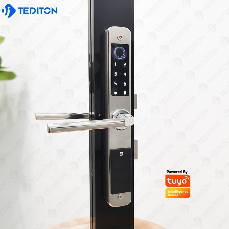 Wifi Tuya APP Fingerprint Lock Double Fingerprint System 304 Stainless Steer Sliding Door Lock with  Smart Lock Waterproof