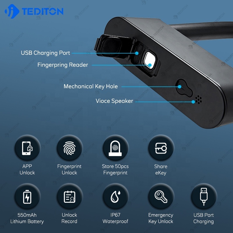 Tediton Hot Selling IP67 Waterproof &Dustproof Finger Print Lock Safety Alarm Smart Padlock candado con huella digital