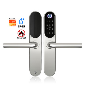 Waterproof Fireproof Cerradura Inteligente Tuya Wifi Fingerprint Mortise Security Stainless Steel Sliding Glass Door Lock