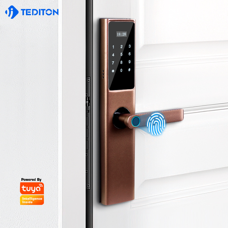 Tuya Wifi Digital Smart Door Lock Cylinder with Smart Phone Fingerprint Code Card and Key