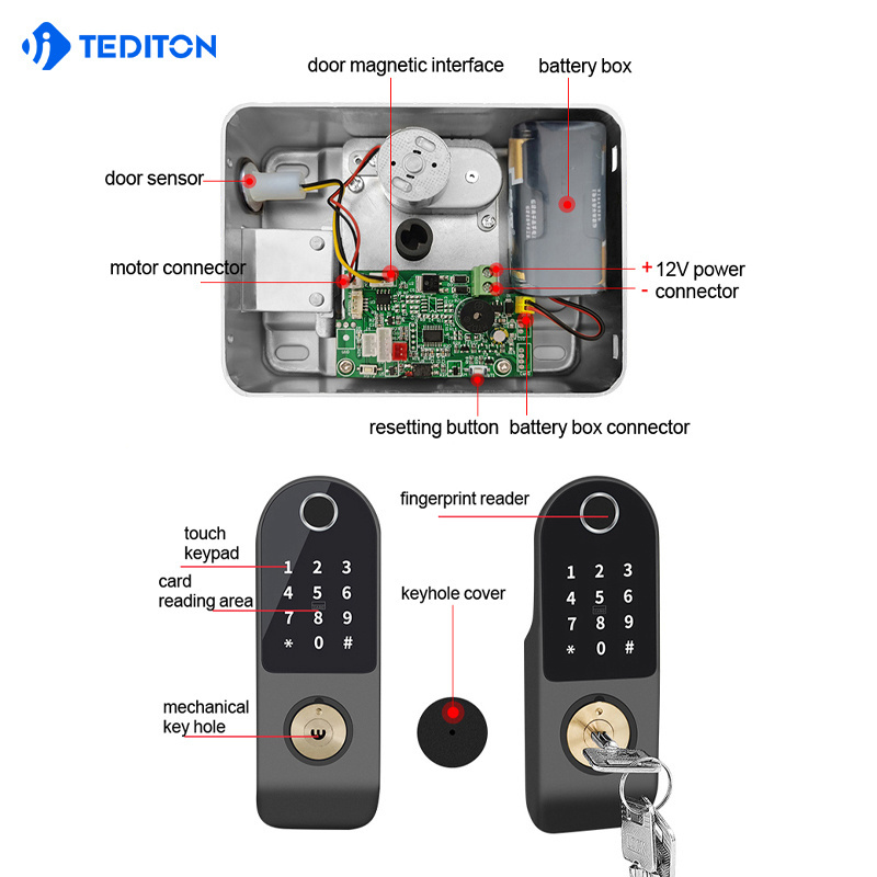 Waterproof Tuya APP Smart Electronic Rim Biometric Fingerprint Lock with WIFI