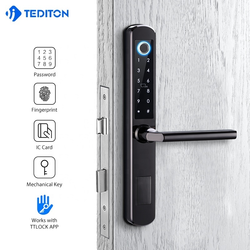 Ttlock APP Remote Double Sided Combination Glass Door Lock with Fingerprint Guangdong hyh Hardware