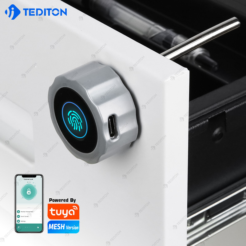 Wholesale Electronic Smart Security safety Locker Lock Tuya APP Small Smart Fingerprint Cabinet Lock for Liquor Drawer Funiture