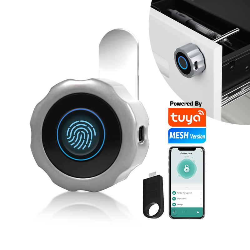 Wholesale Electronic Smart Security safety Locker Lock Tuya APP Small Smart Fingerprint Cabinet Lock for Liquor Drawer Funiture