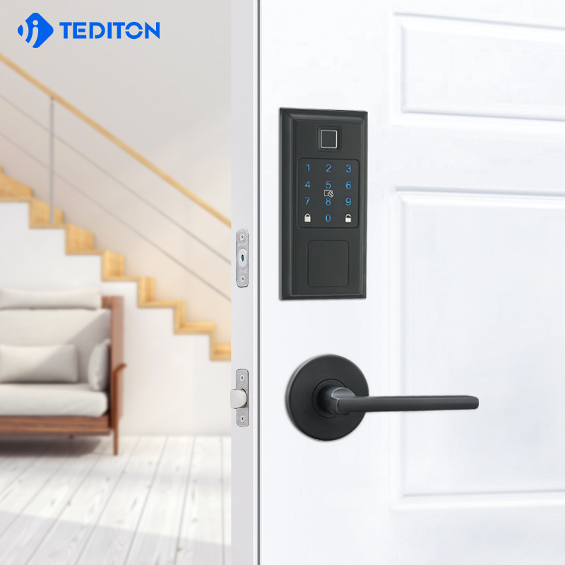 Tediton Keyless WiFi Automatic Digital  Biometric Fingerprint Door Lock with TTlock APP Keypad