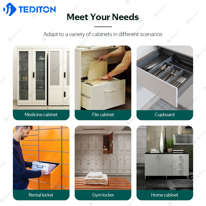 Tediton tuya app desk smart biometric fingerprint drawer lock spa electronic digital security cabinet lock