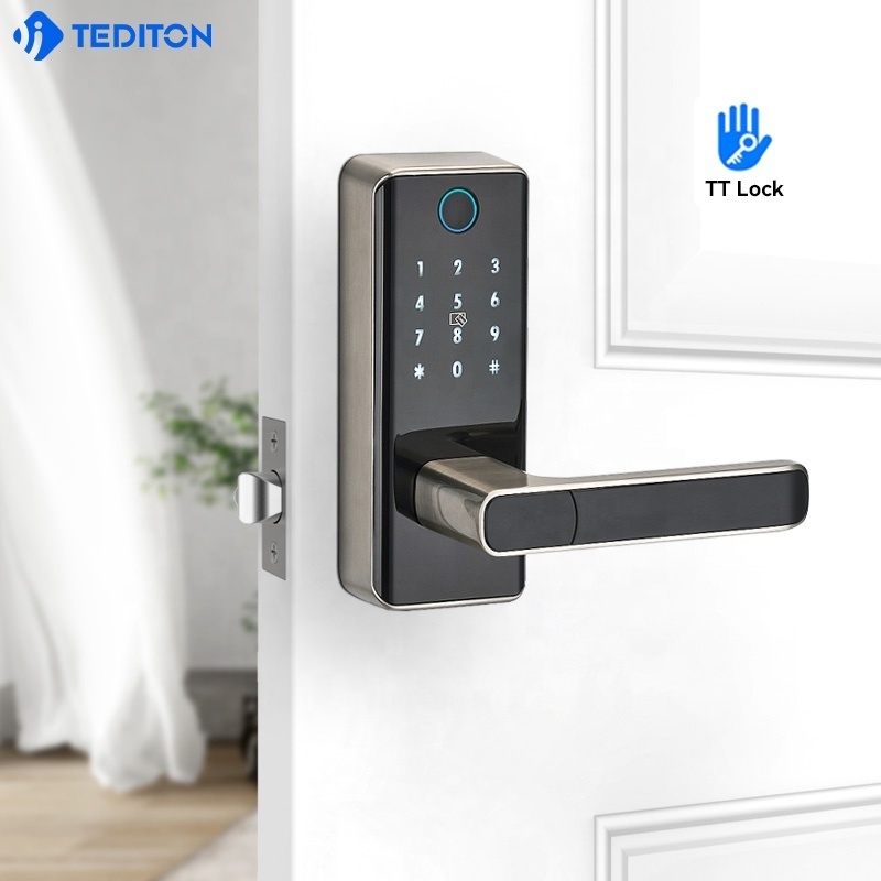 Tediton Safety APP Electric Fingerprint Card Code Combination Smart Door Lock with Touch-Screen Keypad