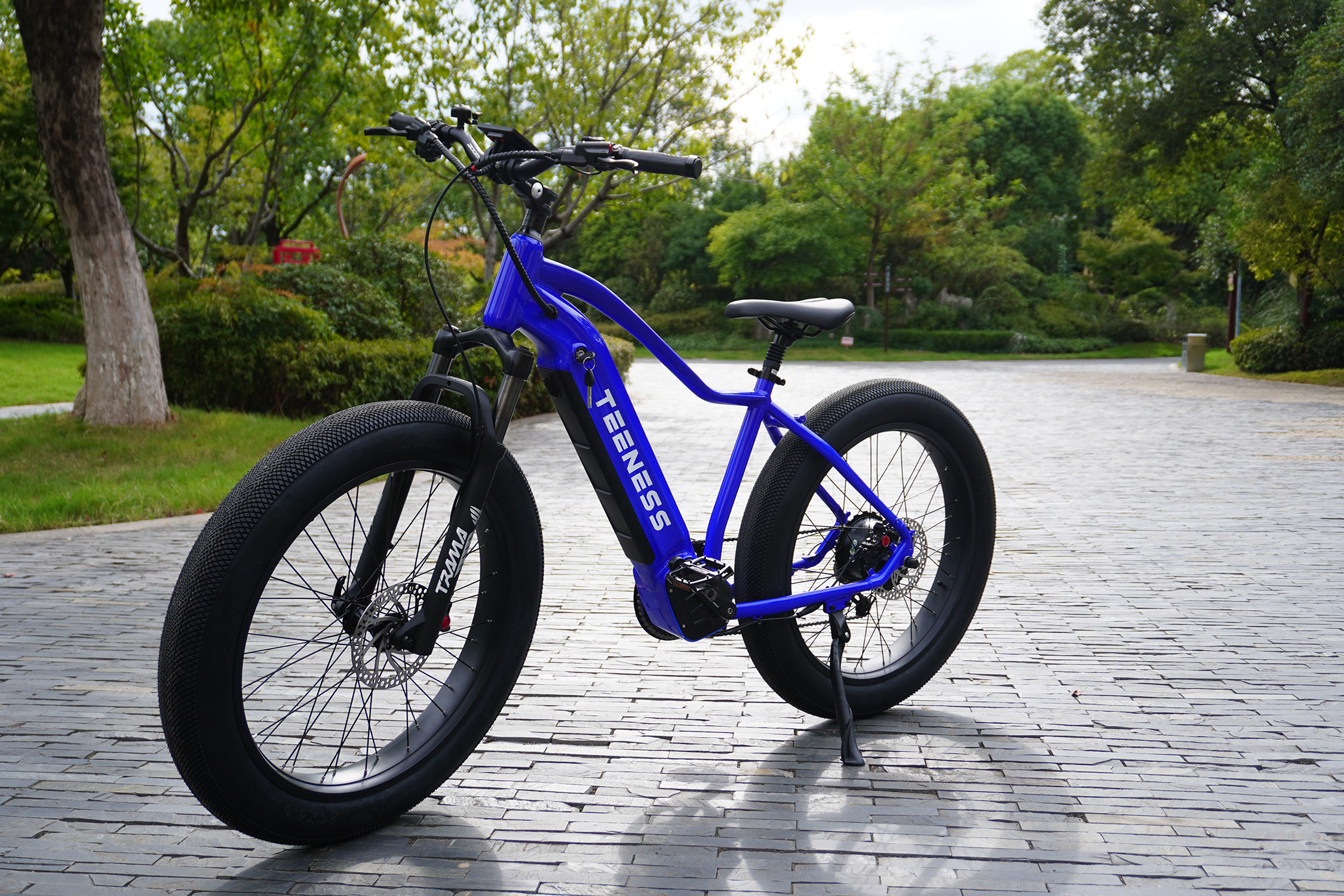 Teeness High Speed 26 inch Electric Bicycle Fat Tire High Speed Ebike