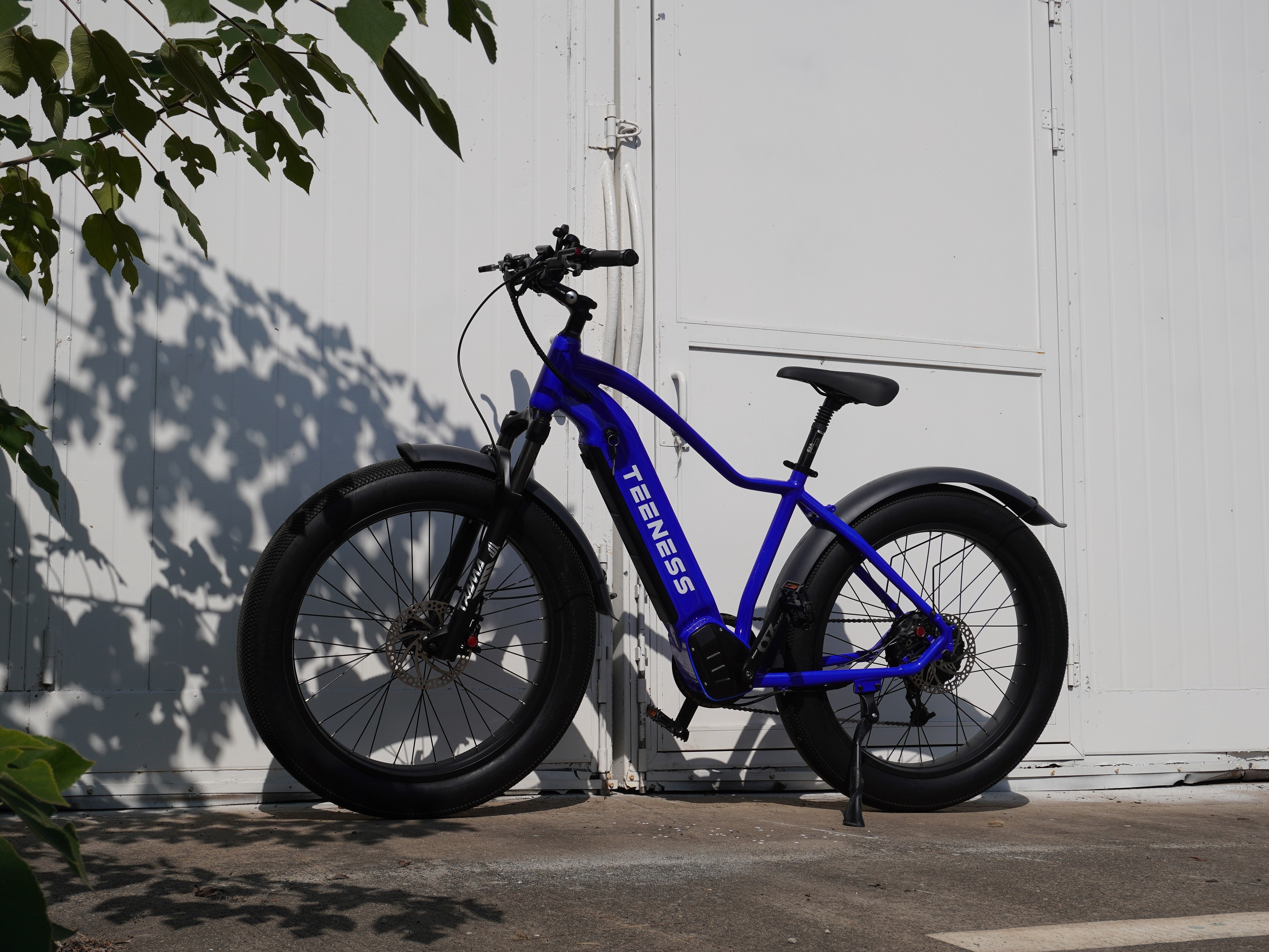 Teeness High Speed 26 inch Electric Bicycle Fat Tire High Speed Ebike