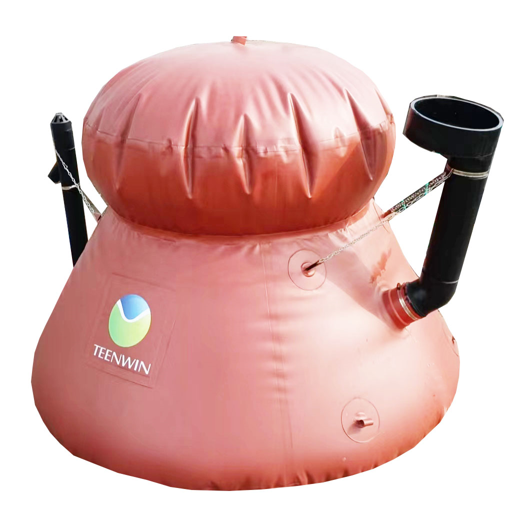 portable small mini home biogas bio gas digester reactor biodigestor home production system balloon bag tank