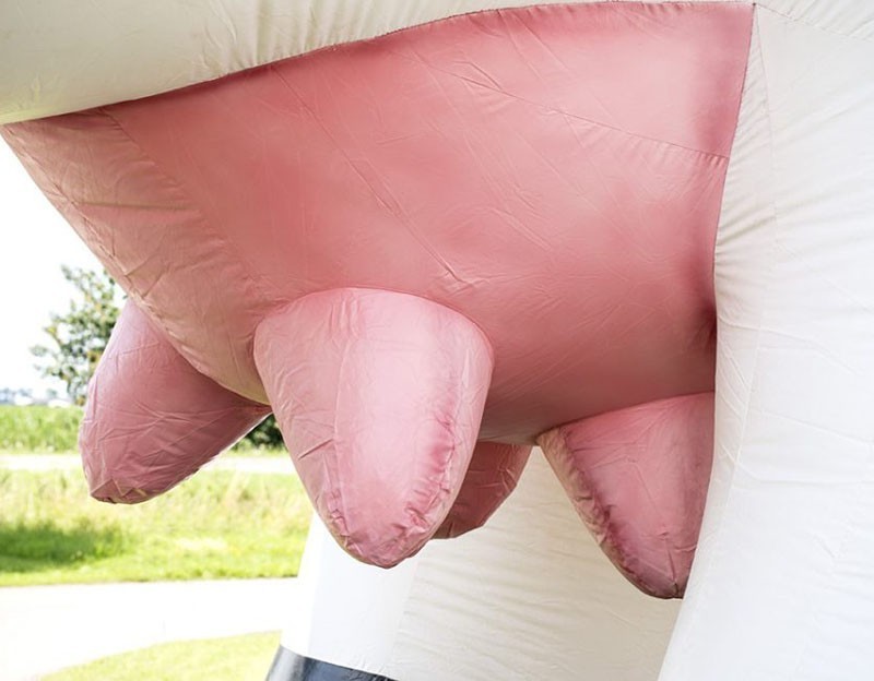 giant inflatable milk cow for advertising