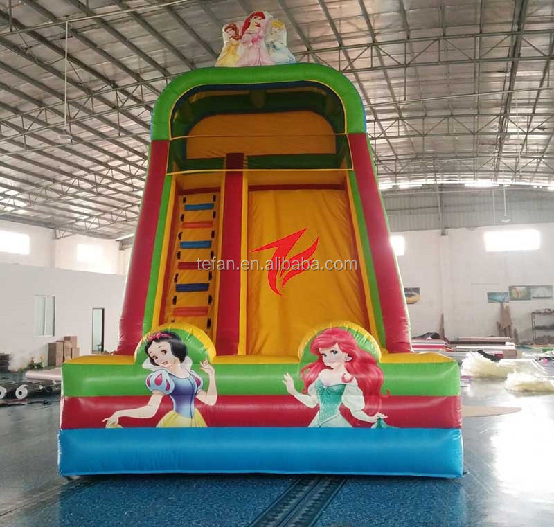 20ft high double lane inflatable turkey slide