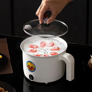 Mini Electric Multi-functional Pot Office Students Dormitory Instant Noodles Hot Pot Non Stick Electric Cooking Pot Cooker