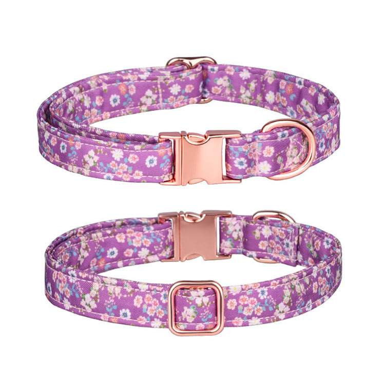 Durable Adjustable Colorful Printed Metal Buckle Dog Collar for Small Medium Large Dogs