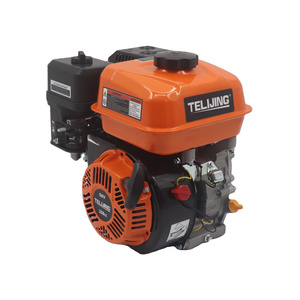 5.5hp 6.5hp 20hp Electric Gasoline Engine GX160 Petrol Engine small For Water Pumps Generators Agricultural Sprayers