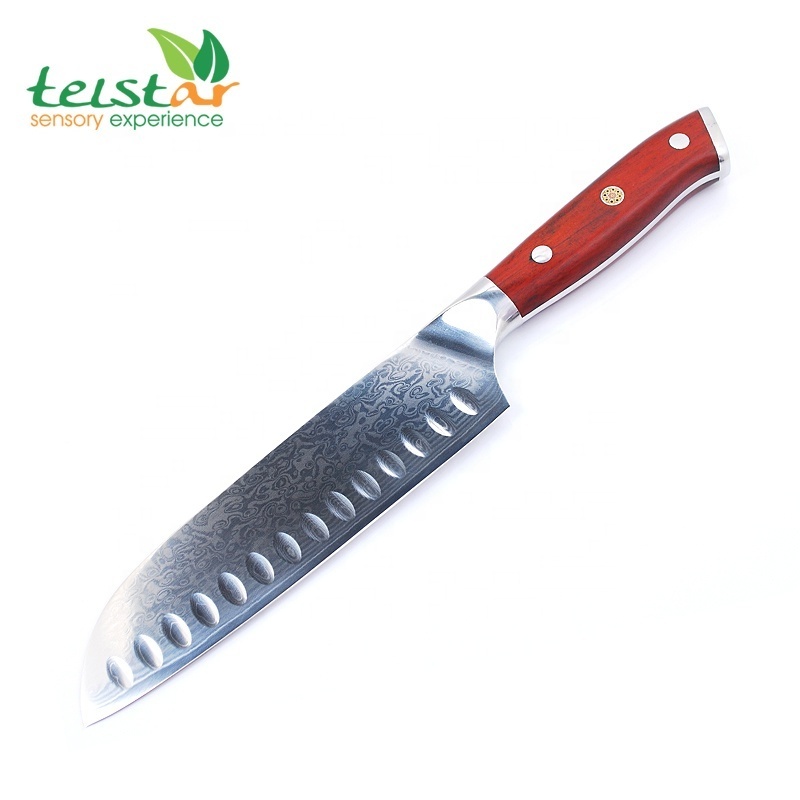 Set 4PCS Kitchen Tools Chef Japanese Santoku Knives Boning Knife Damascus Steel G10 Handle New Stainless Steel Wholesale Knives